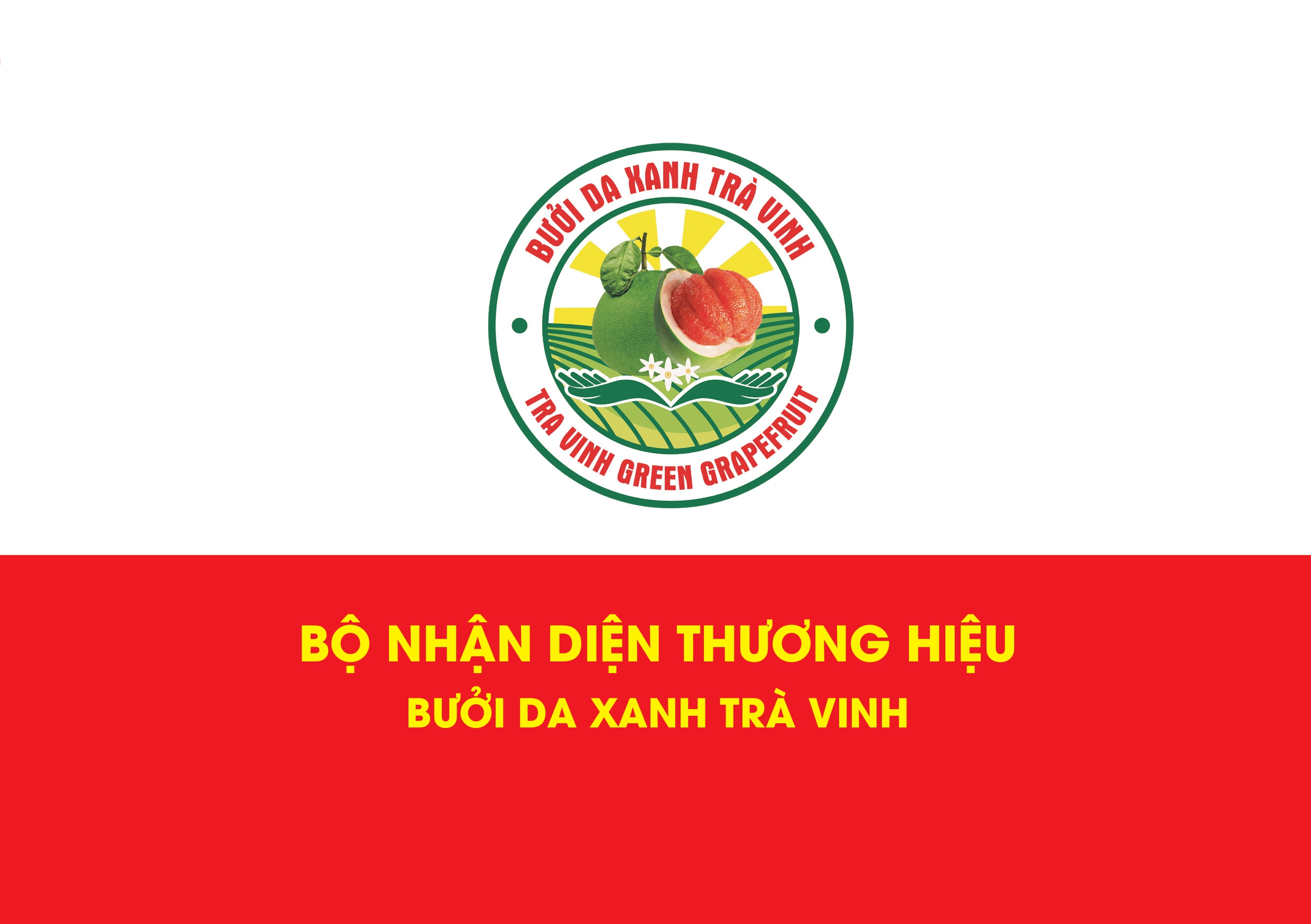 SỔ TAY THƯƠNG HIỆU BƯỞI TRÀ VINH_SỬA_page-0021